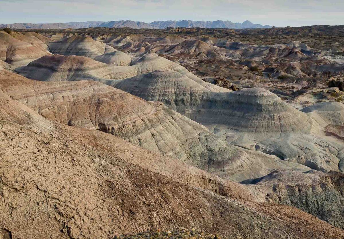 El Parque Provincial Ischigualasto destaca por el gran valor científico de sus hallazgos paleontológicos. (Gentileza: La Ruta Natural)