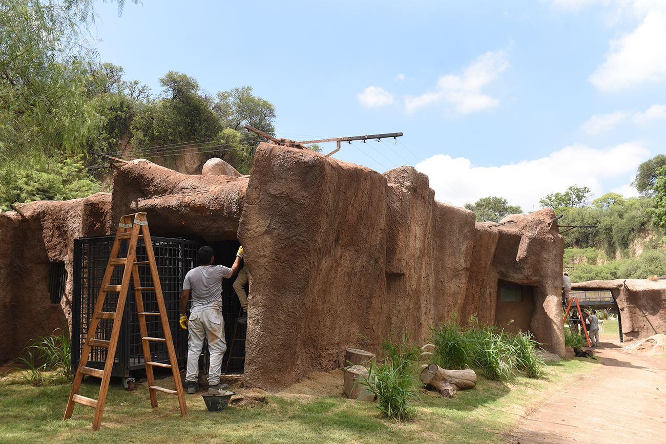 Parque de la Biodiversidad, ya está listo el recinto nuevo de los osos. (José Gabriel Hernández / La Voz)