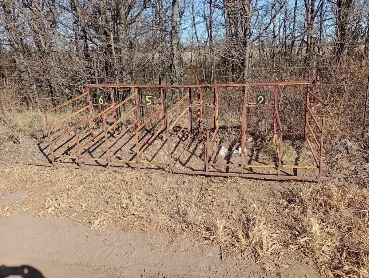 Los aprehendidos realizaban carrera de galgos.