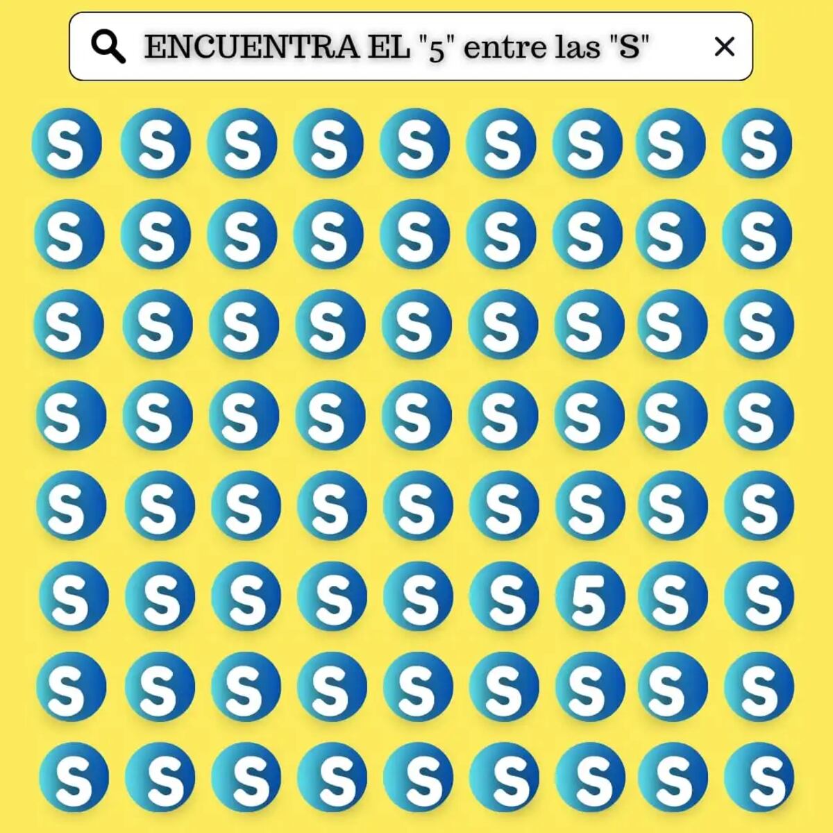 El acertijo visual.