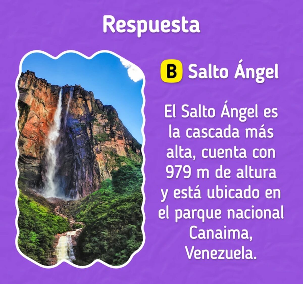 La solución del acertijo visual.