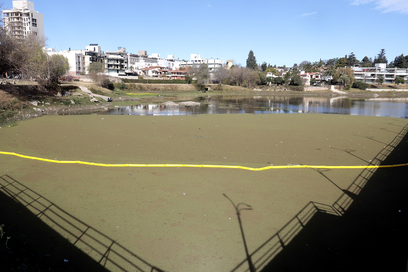 Algas en el Lago San Roque, en el puente Carlos Paz, esta semana. (La Voz)