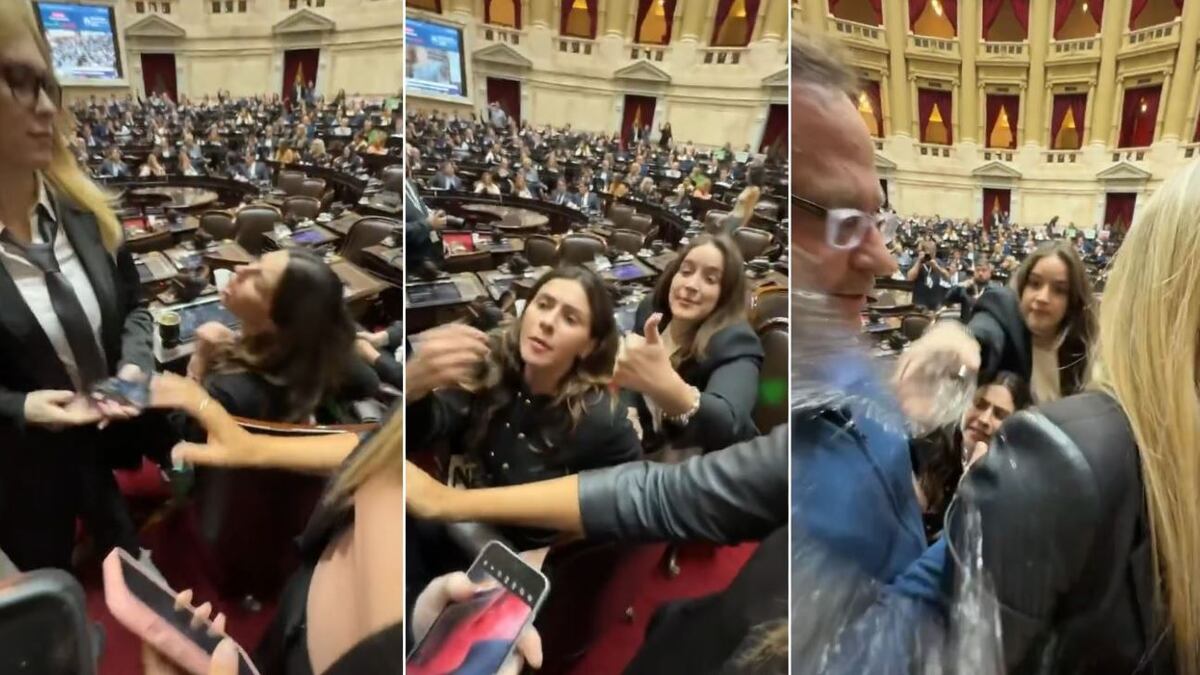 Pelea en el Congreso.