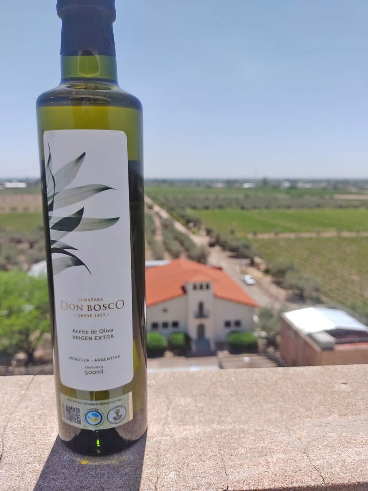 Oliva. Aceite premiado a nivel mundial. (Foto gentileza Bodega Don Bosco)