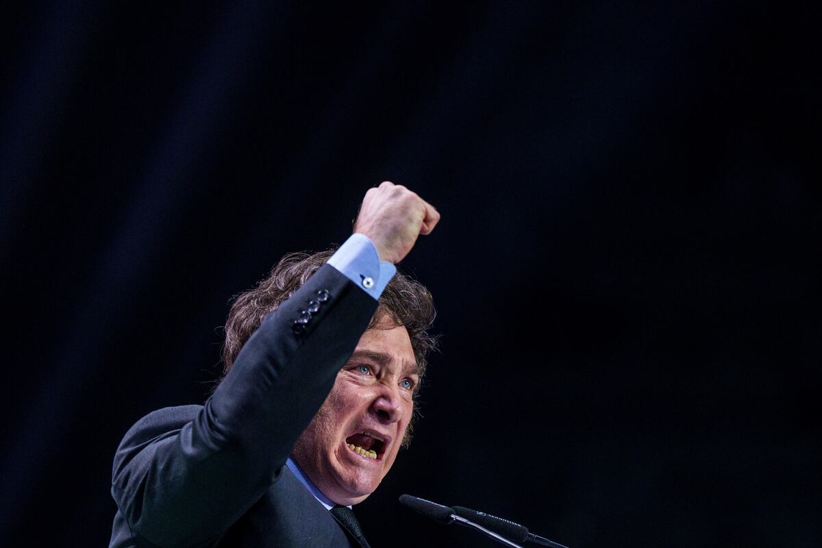 El presidente de Argentina, Javier Milei, hace un gesto con el puño en alto durante su discurso en el acto organizado por Vox, un partido español de ultraderecha, en Madrid, España, el 19 de mayo de 2024. (AP Foto/Manu Fernandez)