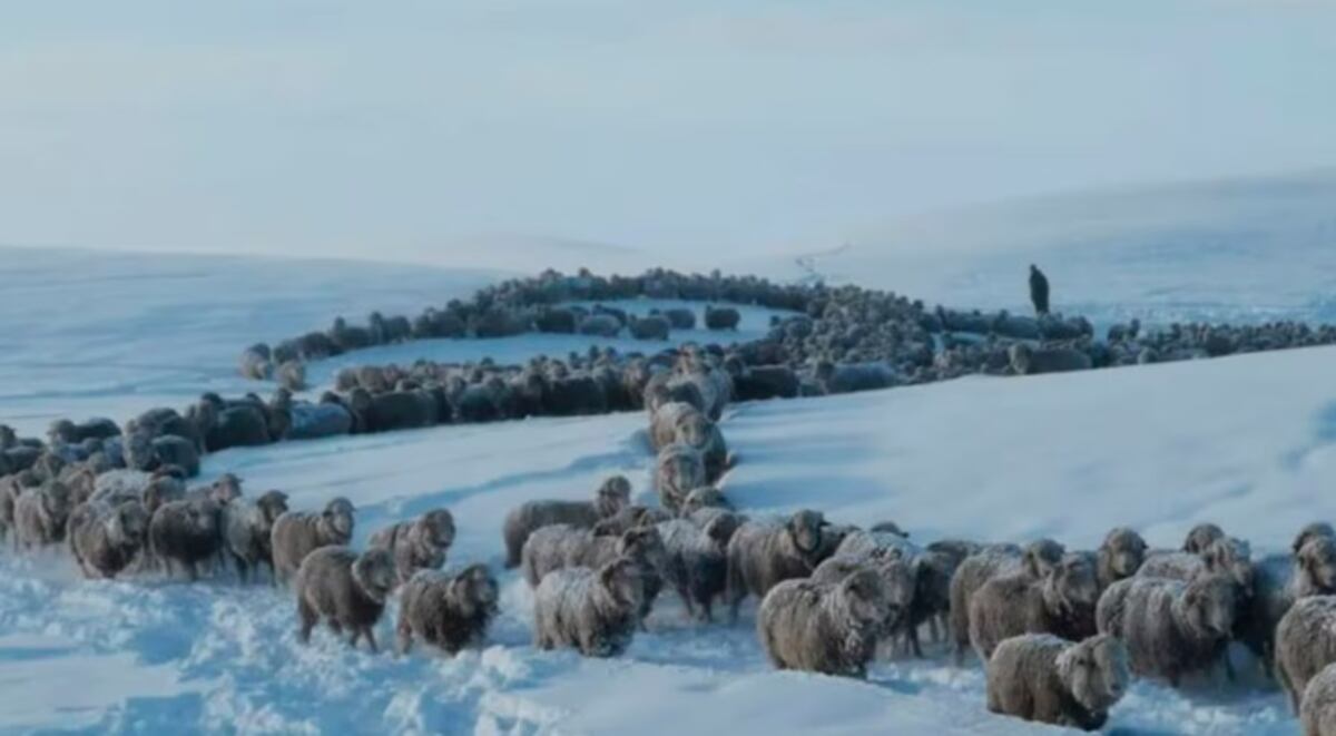 Nieve en la Patagonia