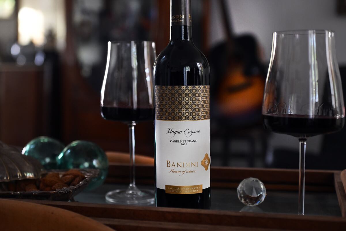 Finca Bandini lanzó este año el Magno Corpore cabernet franc con uvas de su finca en Las Compuertas (Foto javier Ferreyra)