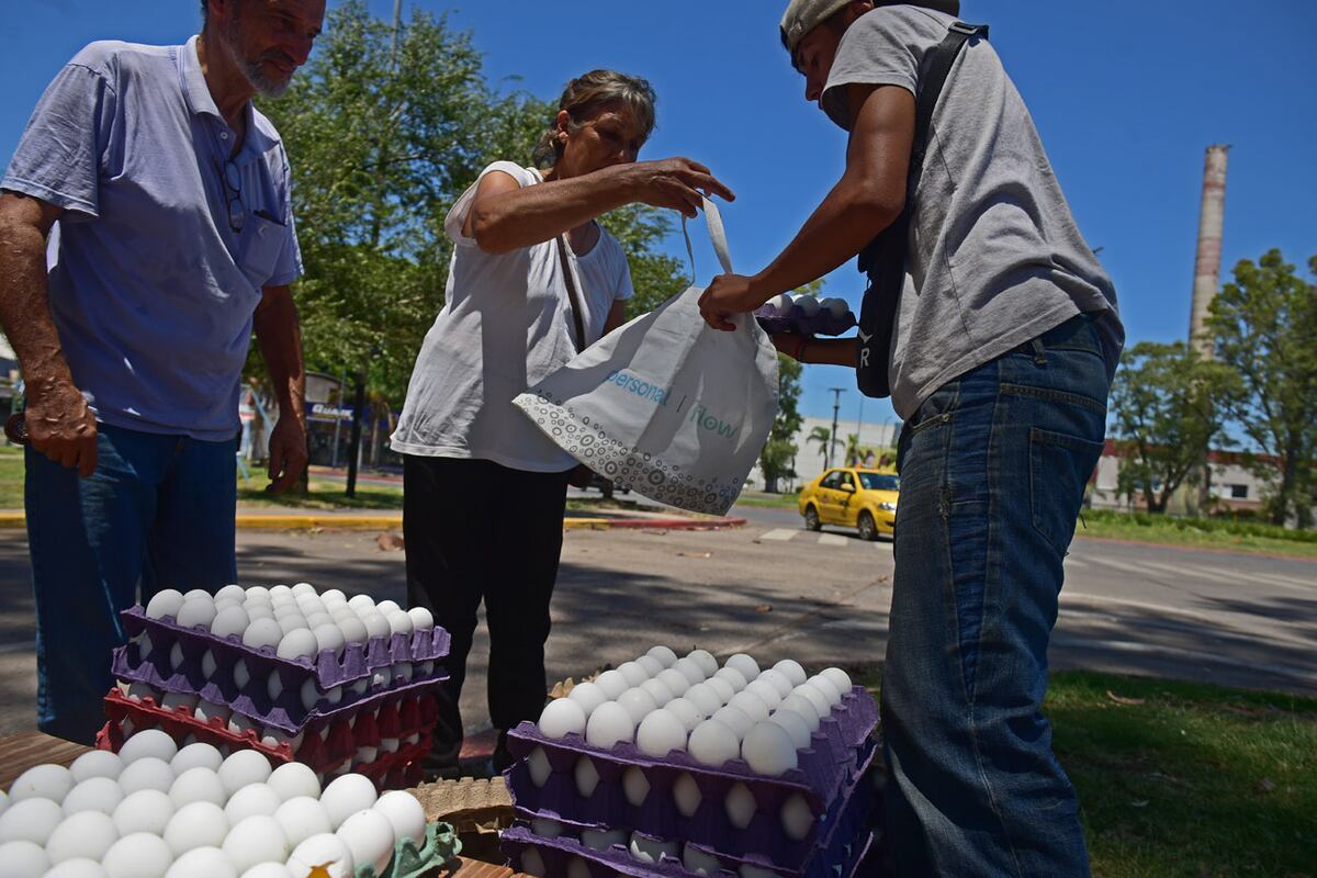 Récord de consumo de huevos. Venta en un puesto ambulante de avenida Cardeñosa. (Jorge Peñaranda / La Voz)