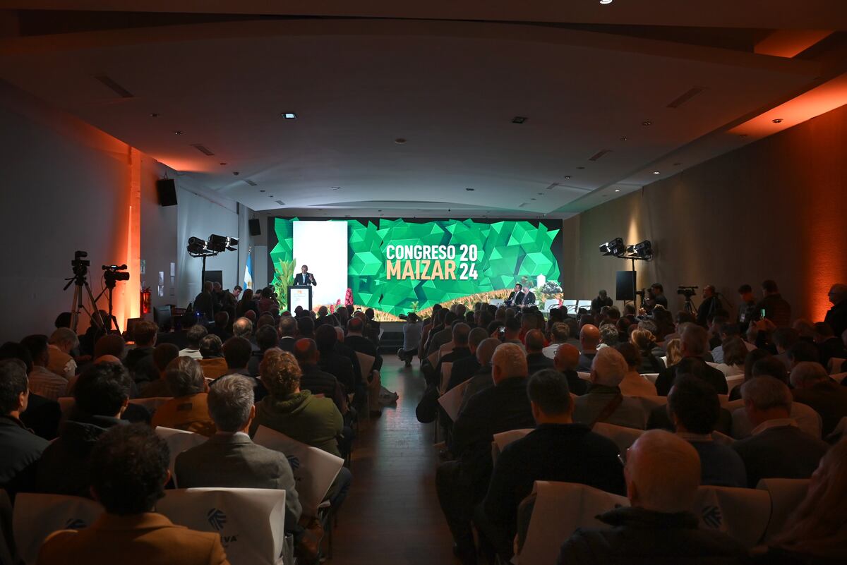 MAIZAR 2024. El congreso nacional de la cadena de cultivo reunió a los principales referentes del maíz, que tuvo como tema central a la "chicharrita". (Prensa Maizar)