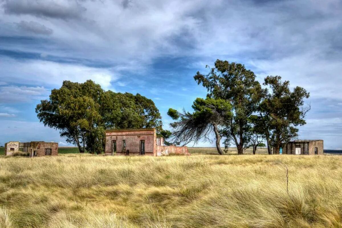 La pradera de Coronel Pringles. (Fedra Grosso)