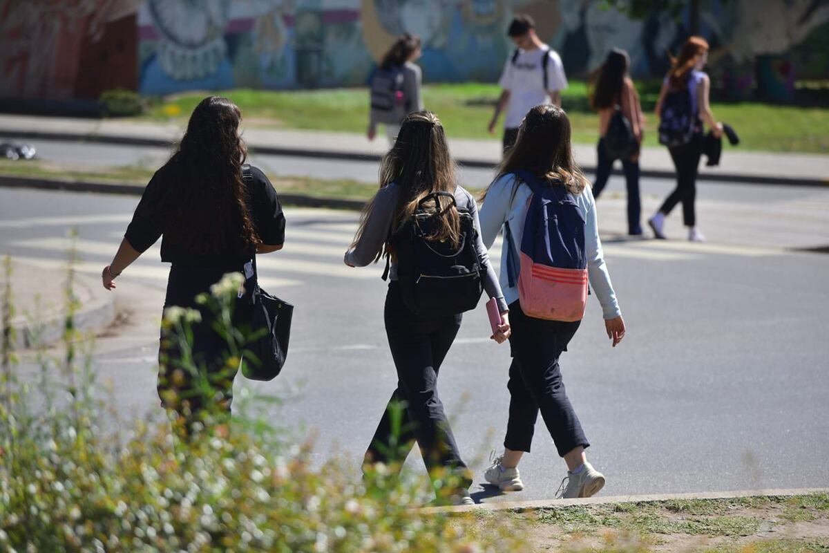 Movimiento de estudiantes en la Ciudad Universitaria.
UNC. Foto José Hernández/La Voz
