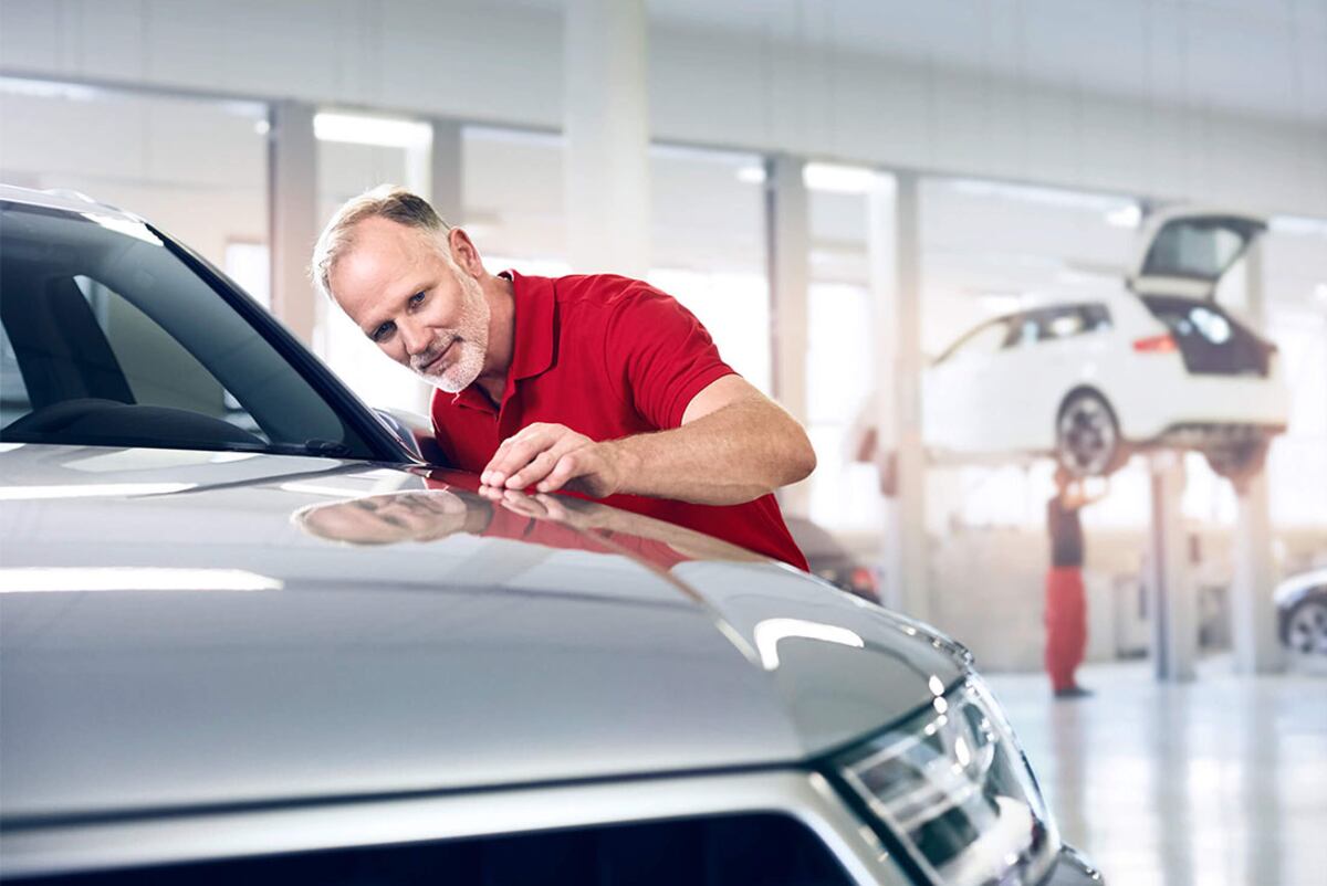 Servicio Oficial Audi en Maipú Exclusivos. / Mundo Maipú