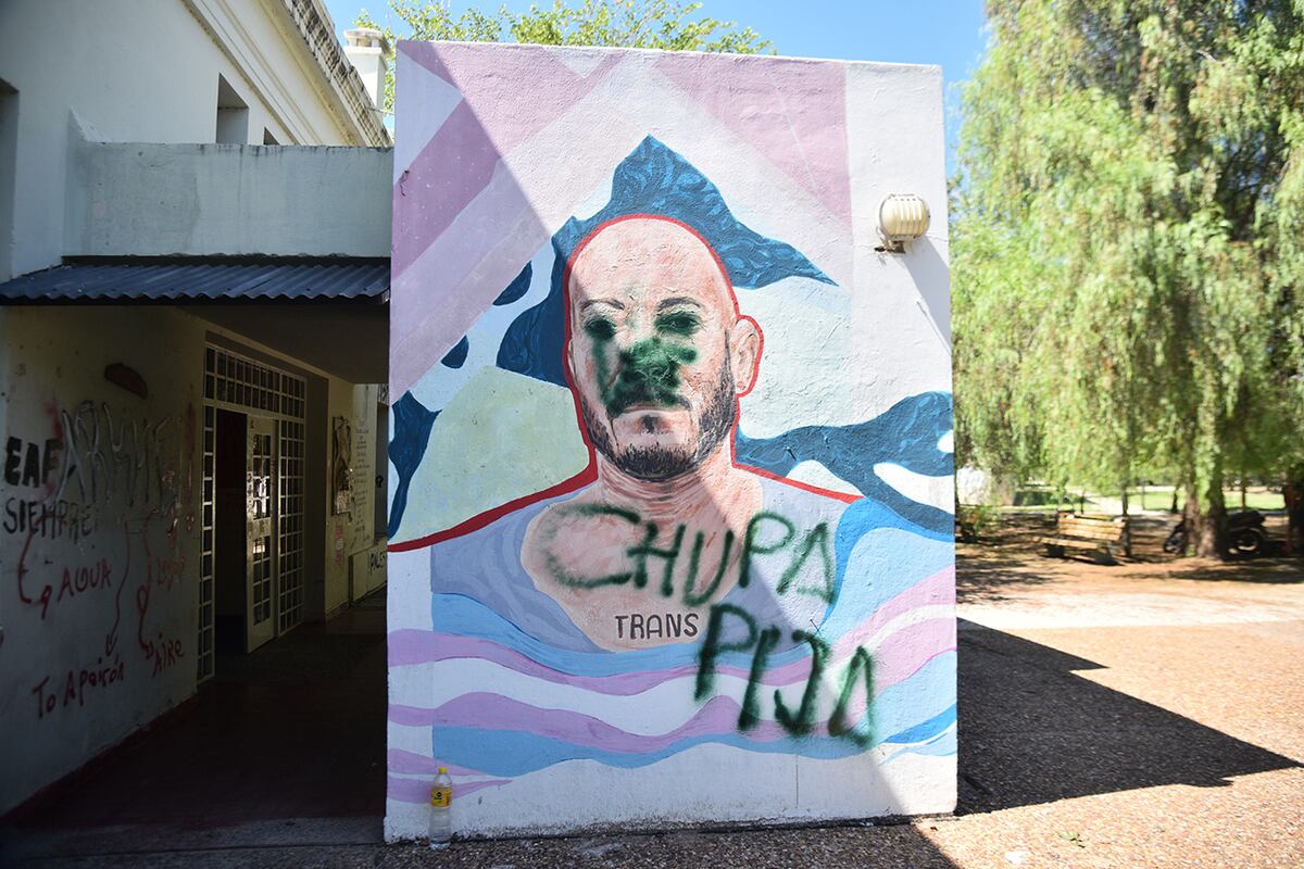 Murales vandalizados en la UNC. (Pedro Castillo / La Voz)