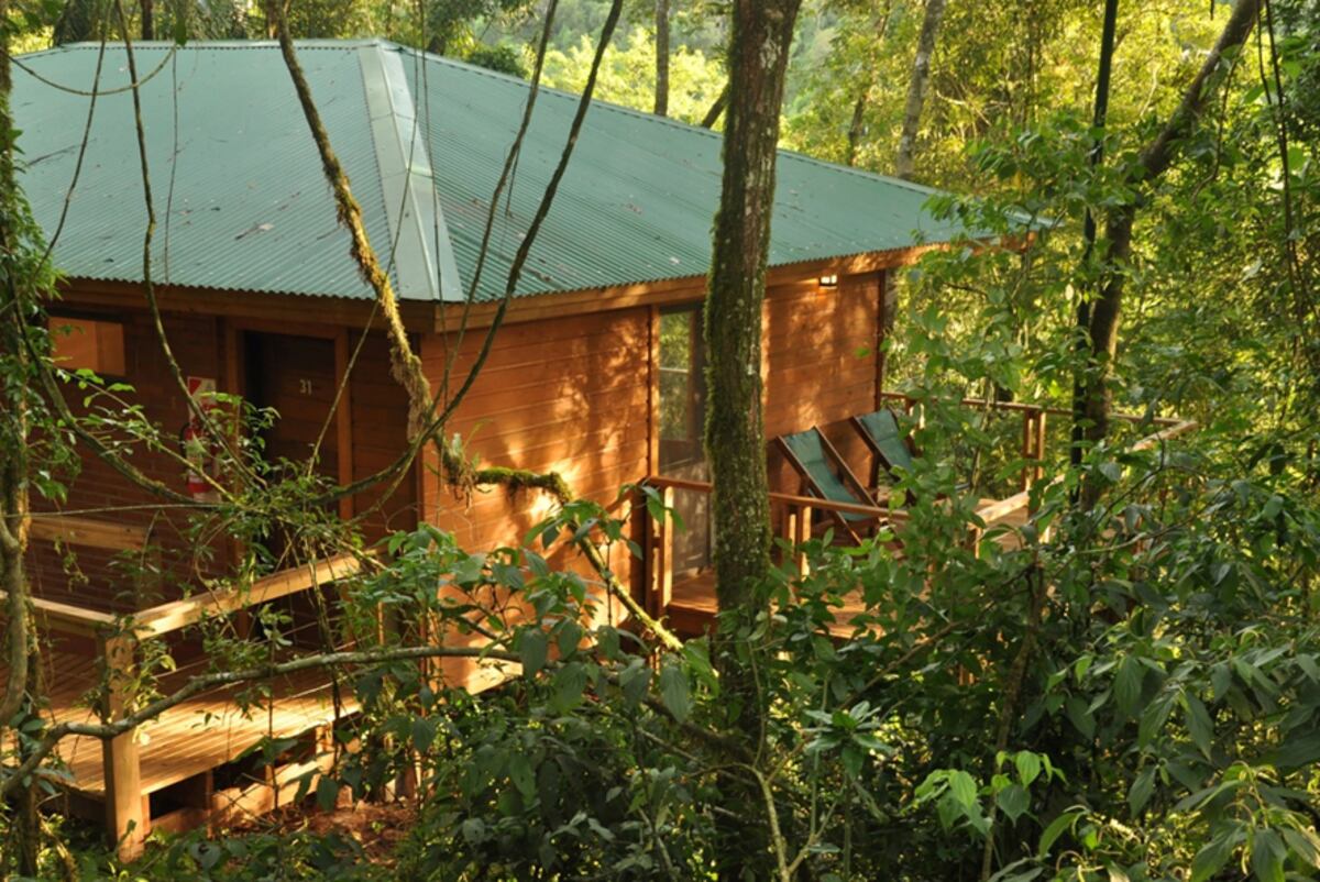 Moconá Virgin Lodge, en el corazón de la selva misionera. (Foto: gentileza Luciana Salaun)