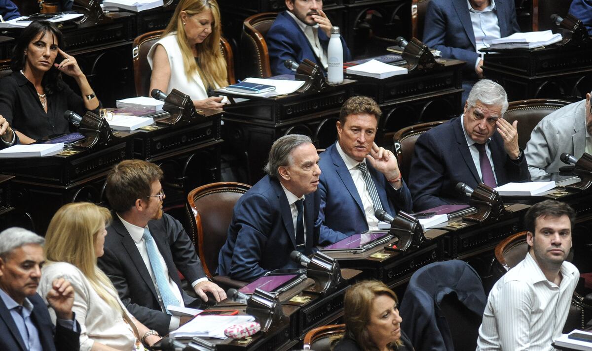 El bloque Hacemos Coalición Federal, presidido por Miguel Pichetto (Foto: Federico López Claro) 