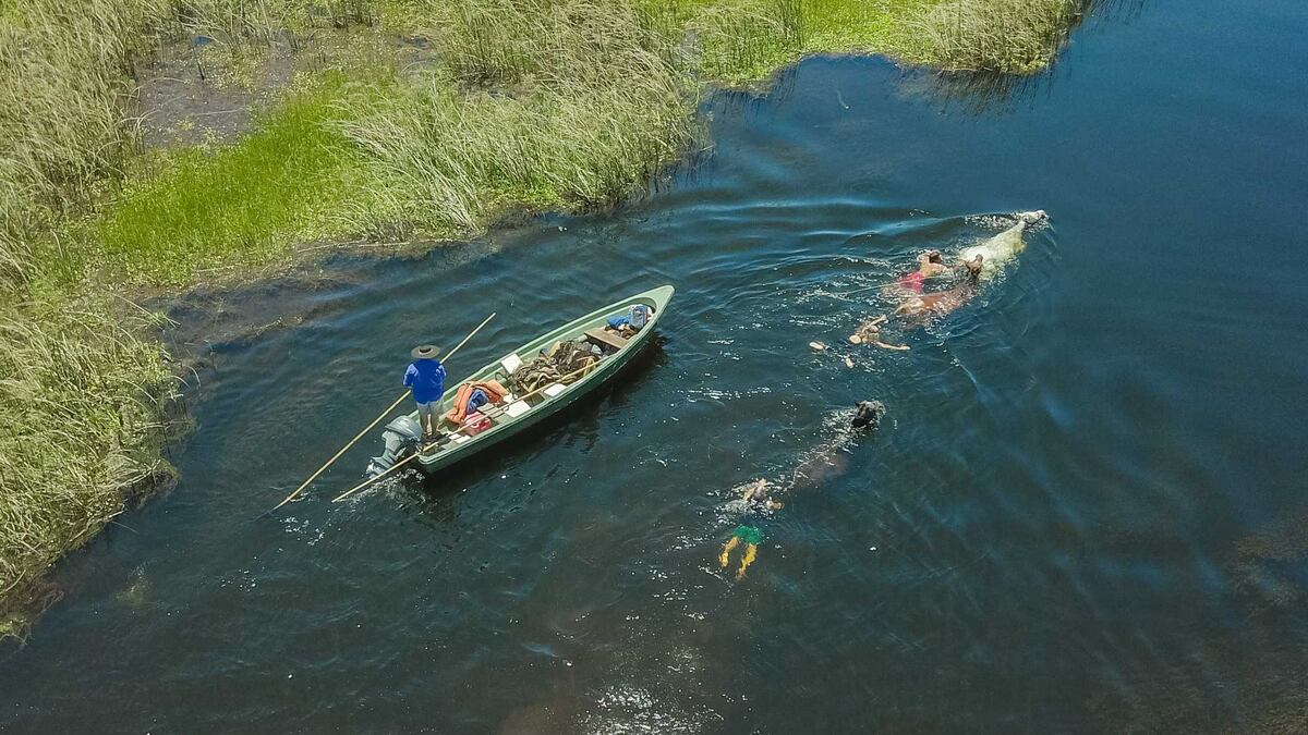 Un viaje por los Esteros del Iberá, en Corrientes. (Foto: Turismo Nación)