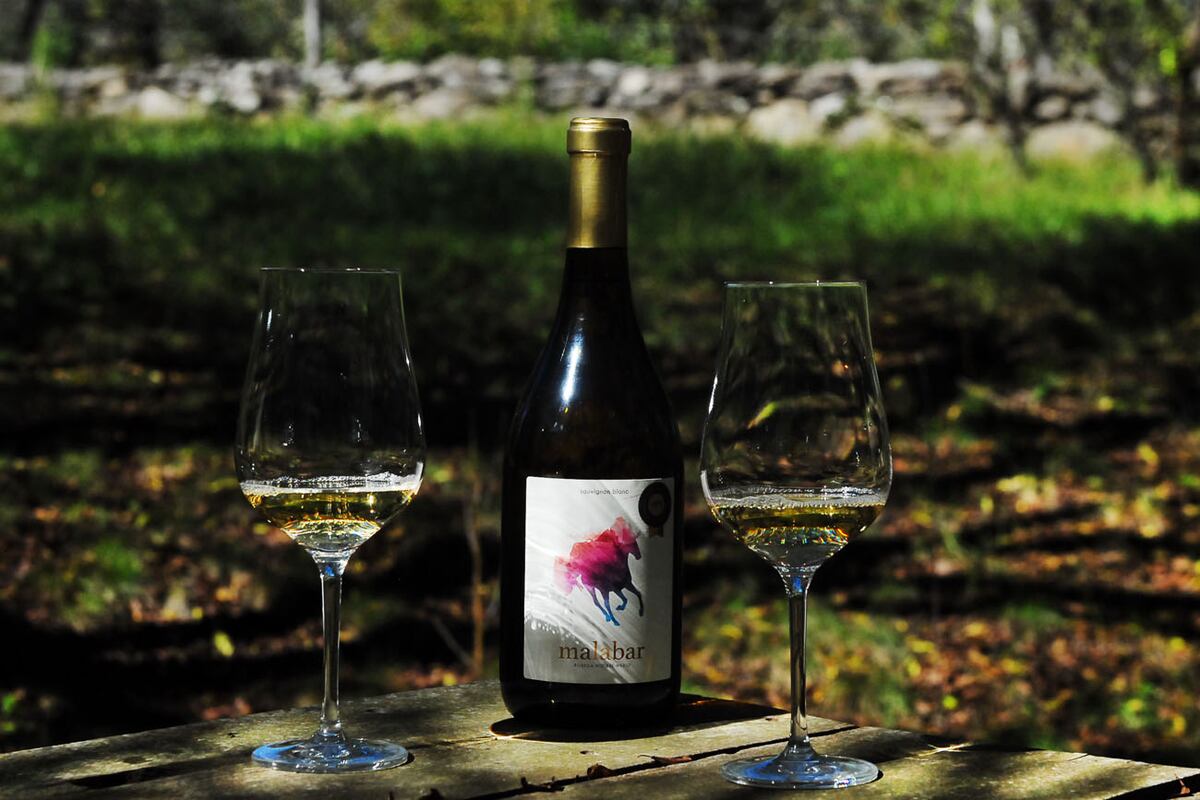 Día del sauvignon blanc, una cepa con historia. (Fotos Javier Ferreyra).