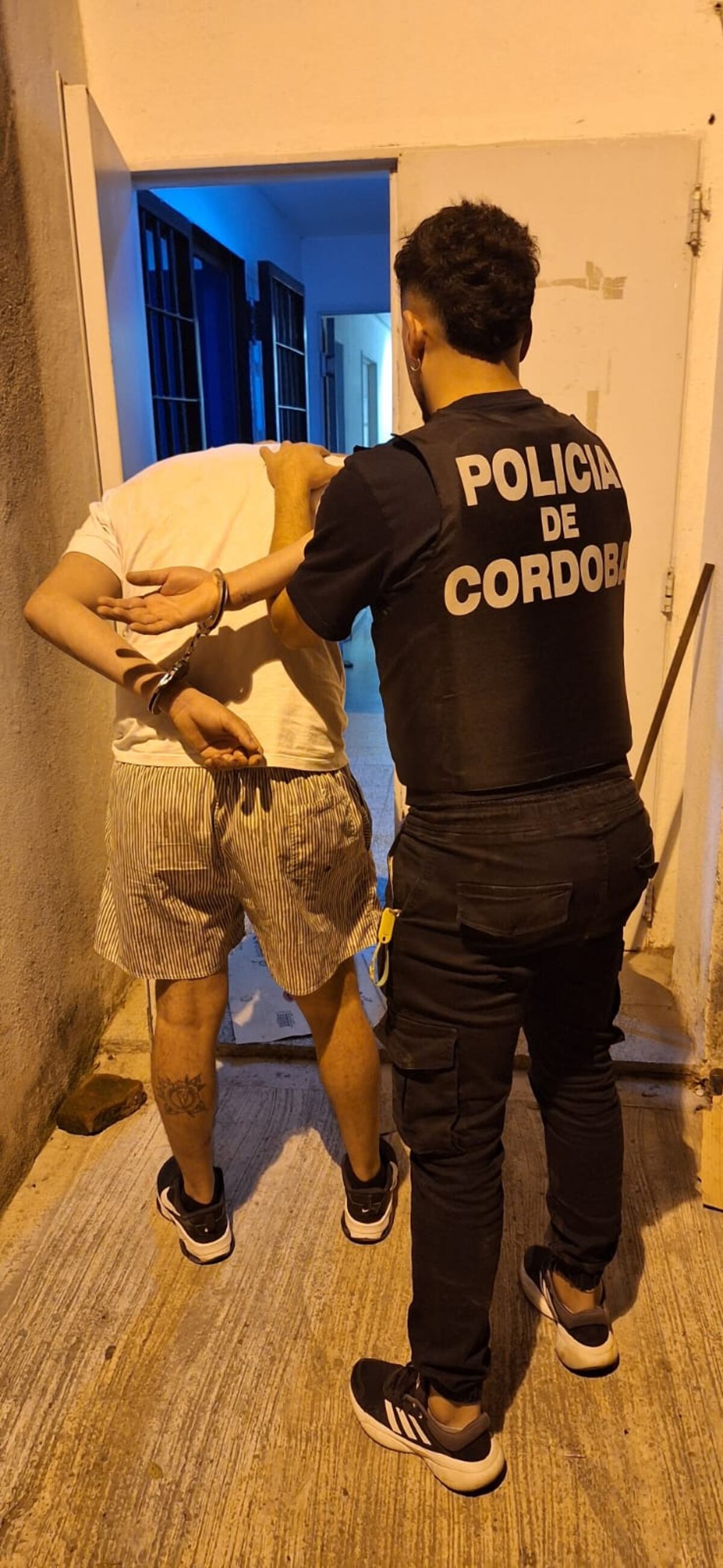 Cayó una banda que robaba celulares en recitales en Córdoba y Buenos Aires.