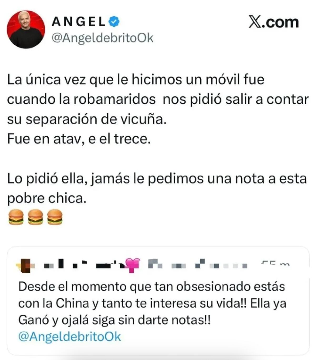 La punzante respuesta de Ángel de Brito a la usuaria que lo acusó de tener una "obsesión" con la China Suárez. (Foto: Captura de pantalla)