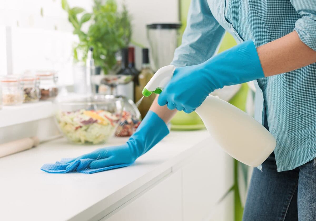 El truco para eliminar las moscas de casa.