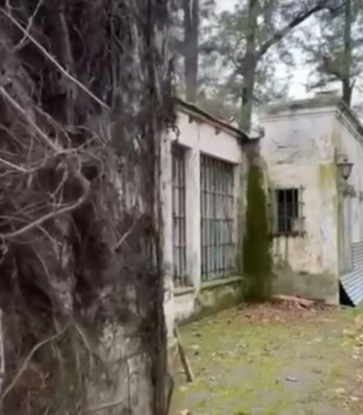 Jimena Monteverde mostró su casa de 1854: así es la histórica propiedad que recicla en 25 de Mayo.