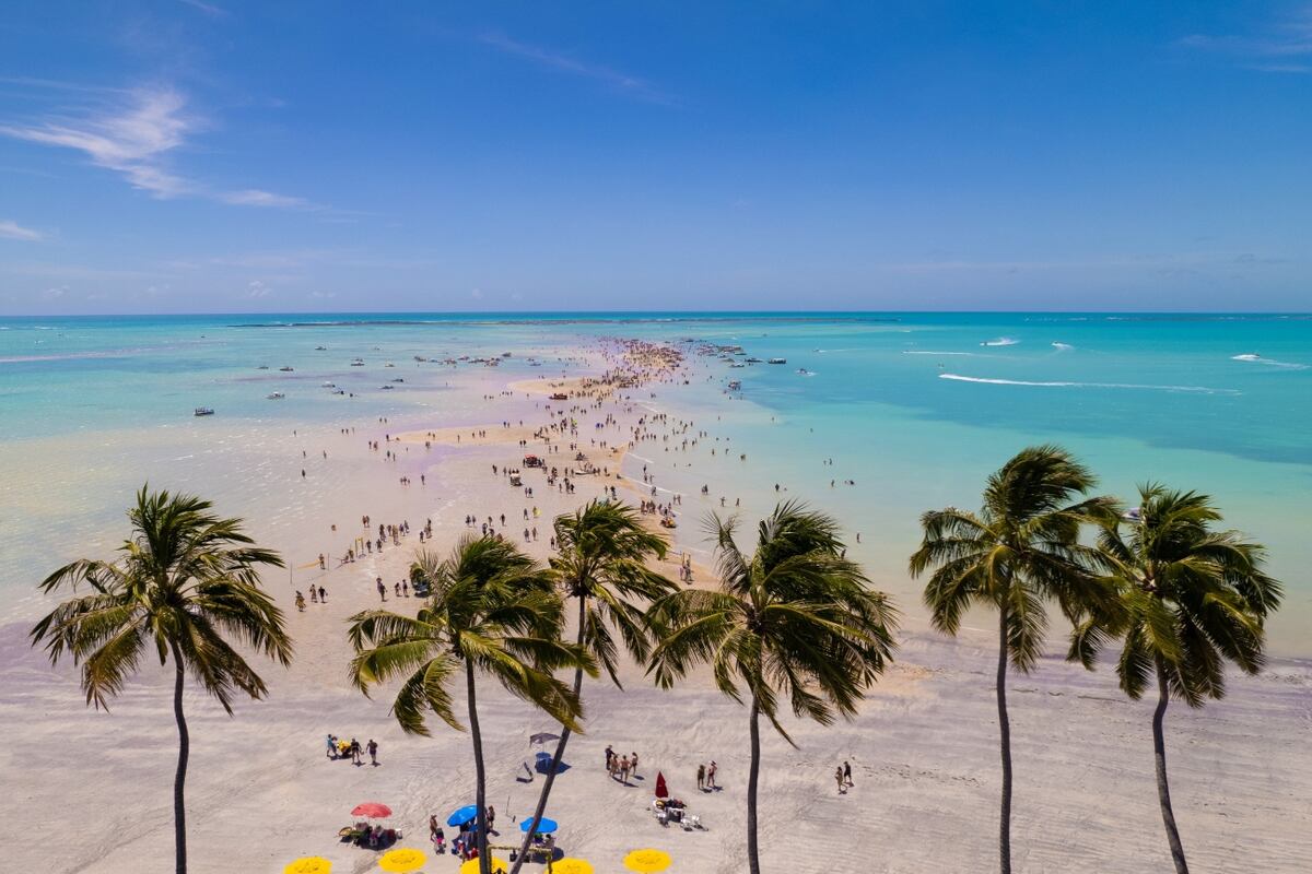 Frecuencia: los vuelos chárter a Maceió tienen dos salidas semanales desde Córdoba durante la temporada de verano.(gentileza OLA Mayorista de turismo)