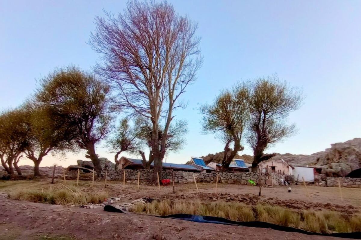 Alto Rumbo instaló un sistema de ecosaneamiento descentralizado que permitirá tratar más de 5.000 litros diarios de las aguas residuales que se generan en su Rancho de Luna.