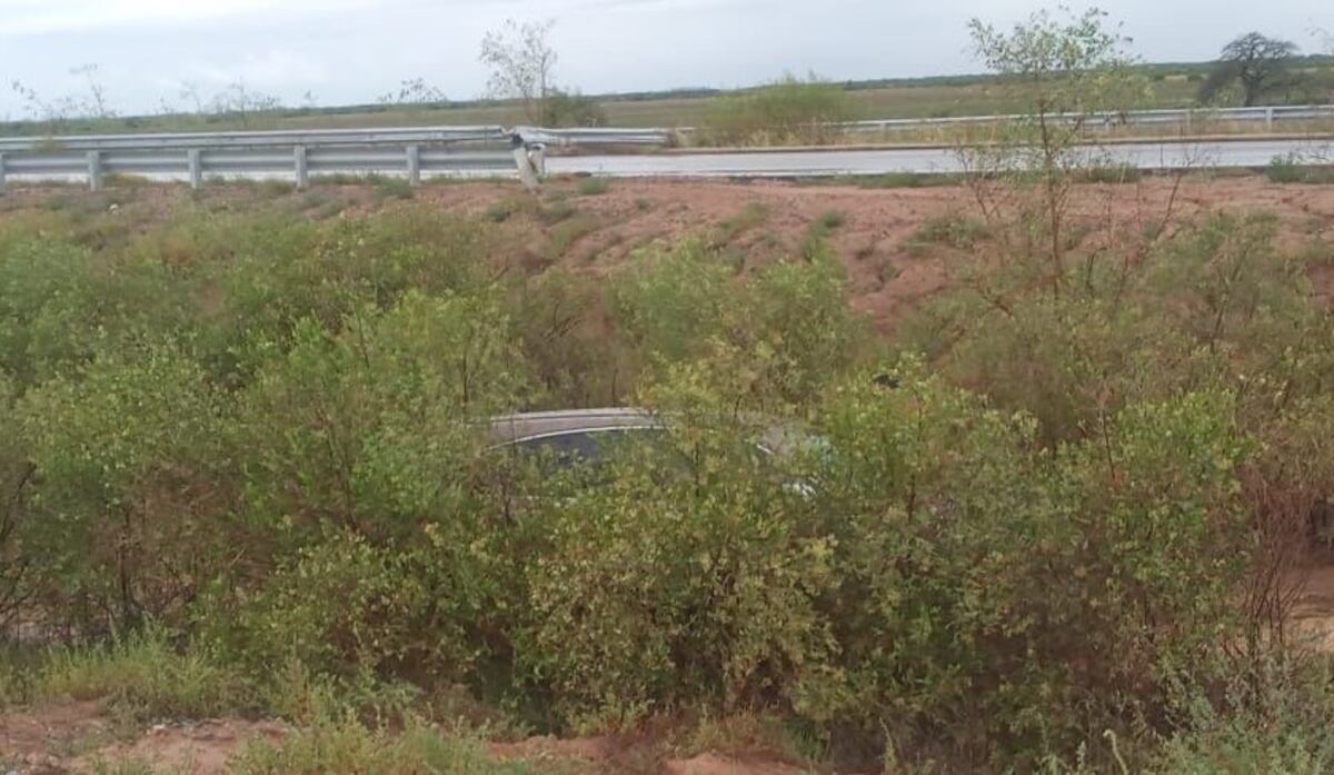 El auto que despistó cerca de La Francia, perdido entre los yuyos de la banquina.