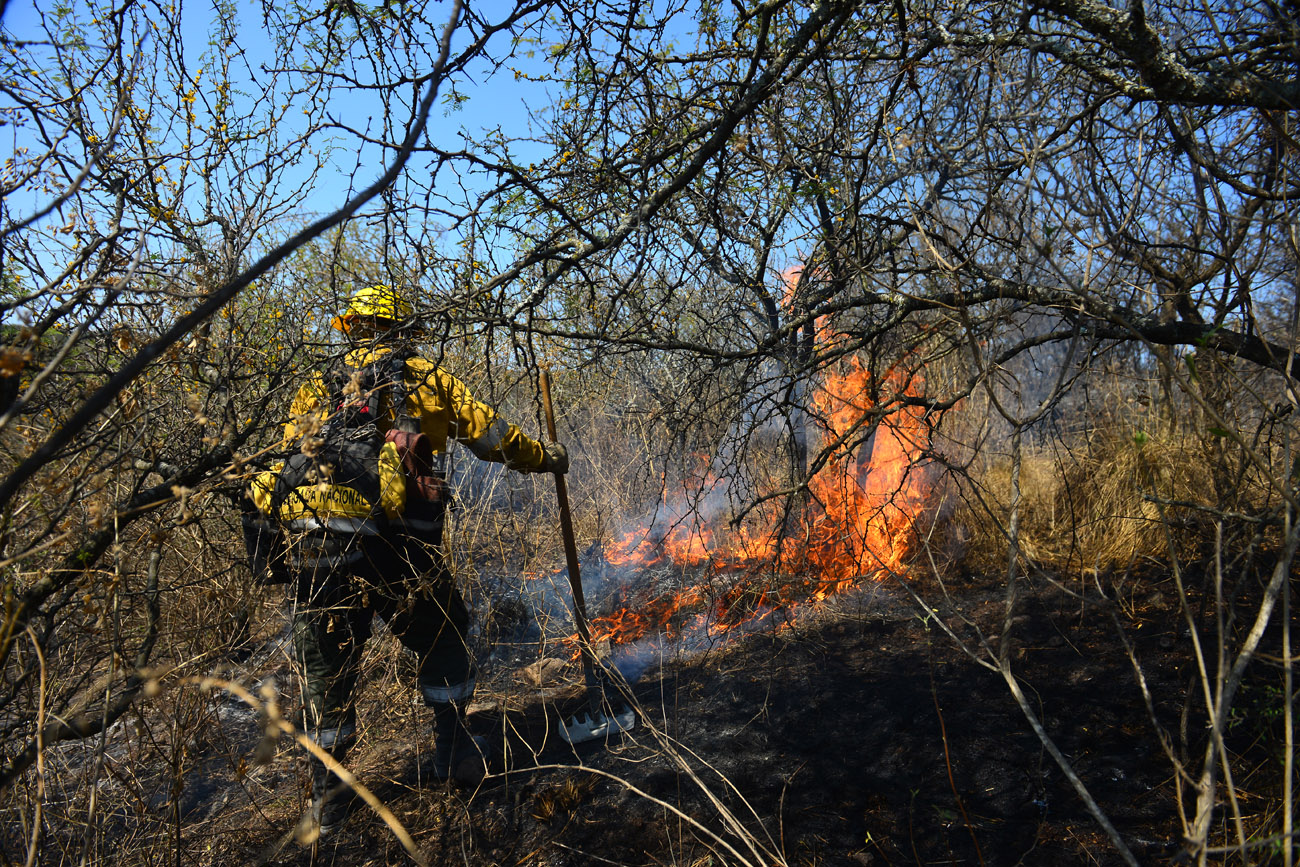 Bomberos y brigadistas trabajan en la zona de Paso Colorado, en las cercanías de La Granja. (Nicolás Bravo / La Voz)