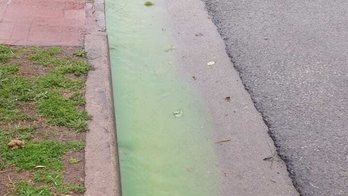 Clausuran un comercio en Córdoba por desechos líquidos contaminantes en la vía pública. (Municipalidad de Córdoba)