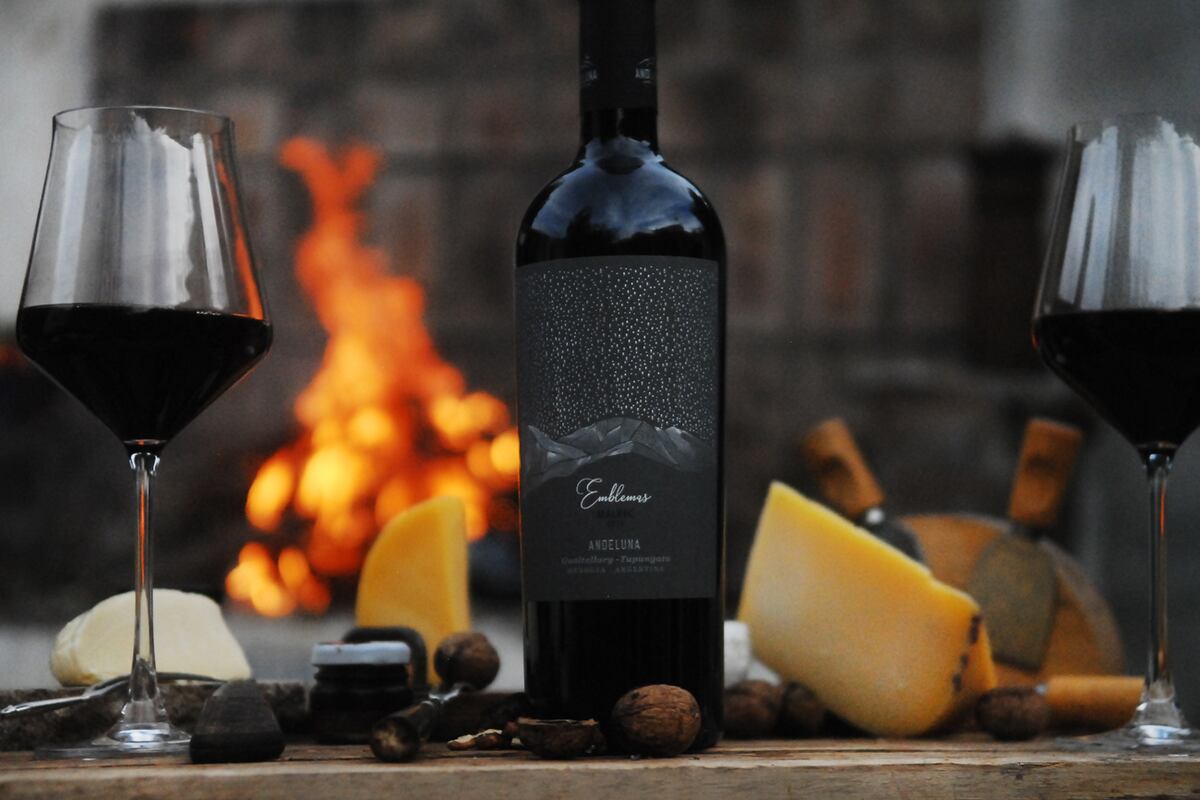 3- Vinos, variedades que merecen ser probadas (Javier Ferreyra).