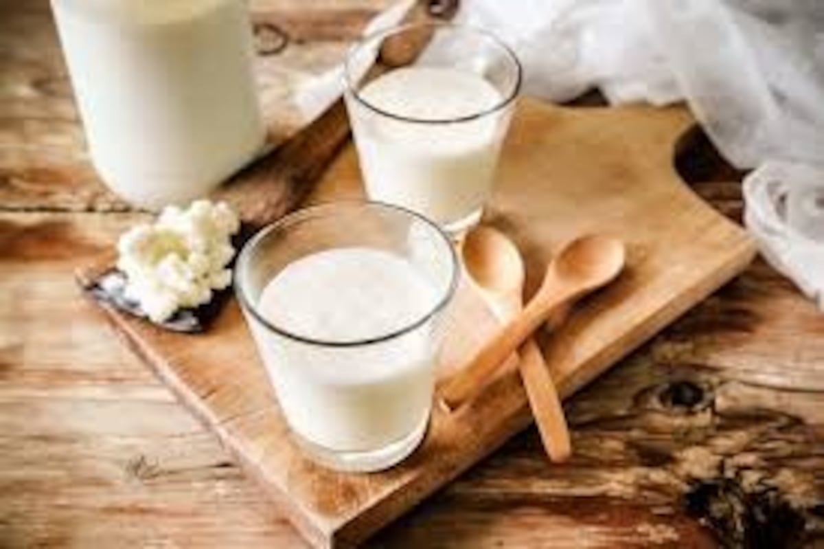 El “oro blanco” milenario que ayuda a restaurar la flora intestinal y mejorar la digestión