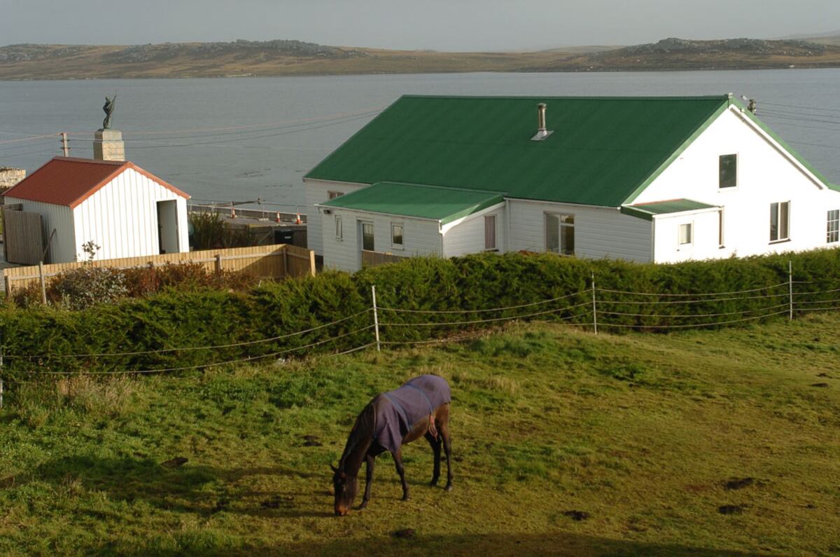 Malvinas. (Archivo/Marcela Marbián)