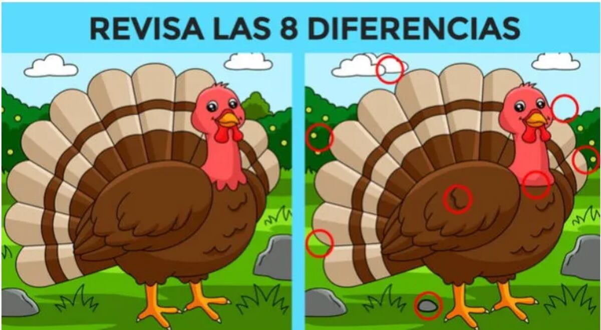 El acertijo visual.