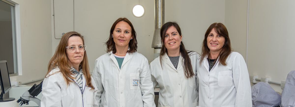 De izquierda a derecha: Virginia Aissa, Ariana Zoppi, Diamela Rocca y Cecilia Becerra.
