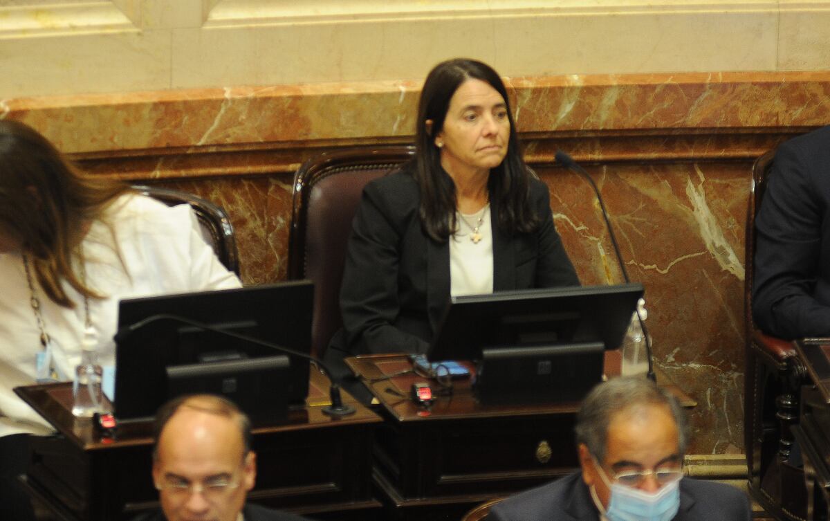 Carmen Alvarez Rivero senadora Cordoba
en el senado Deuda FMI
Foto Federico Lopez Claro