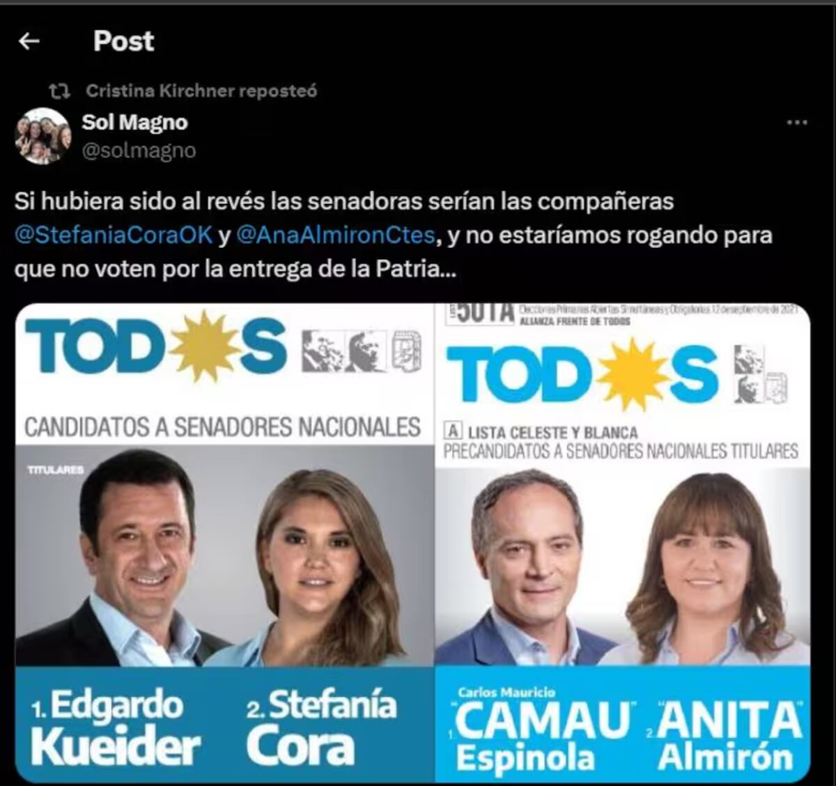 Edgardo Kueider. Cristina Fernández de Kirchner lo criticó indirectamente, a través del reposteo de otra publicación, por haber apoyado la Ley Bases. (Captura de pantalla)