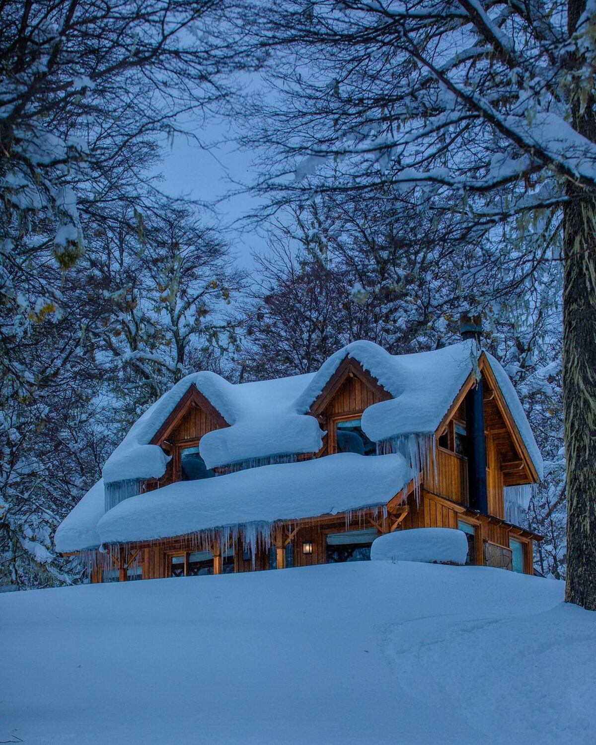 Nevada en la Patagonia argentina. (X/@turismoargentina)