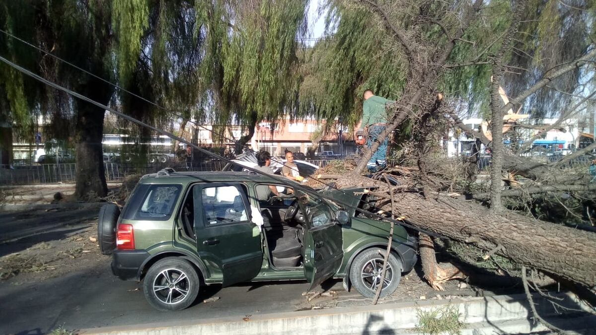 Imagen de la nota