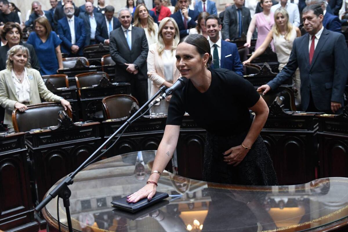 Diputados. Así juró Laura Soldano este miércoles 3 de diciembre.