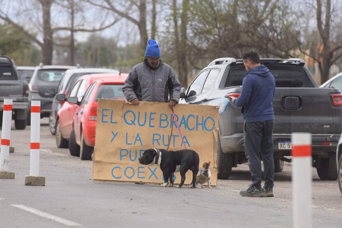Trabajos para retirar el árbol de su lugar original. (La Voz/José Gabriel Hernández)