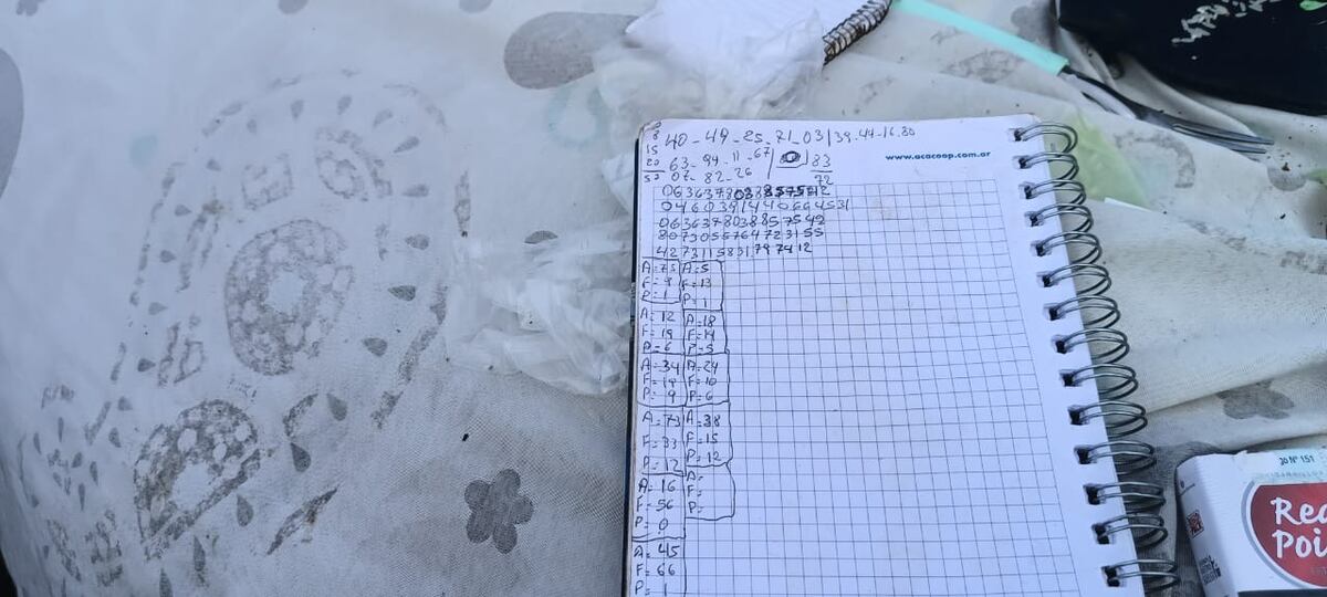 Detuvieron a una joven y a una mujer que tenían en su poder una gran cantidad de droga en la ciudad de Córdoba. (Gentileza)