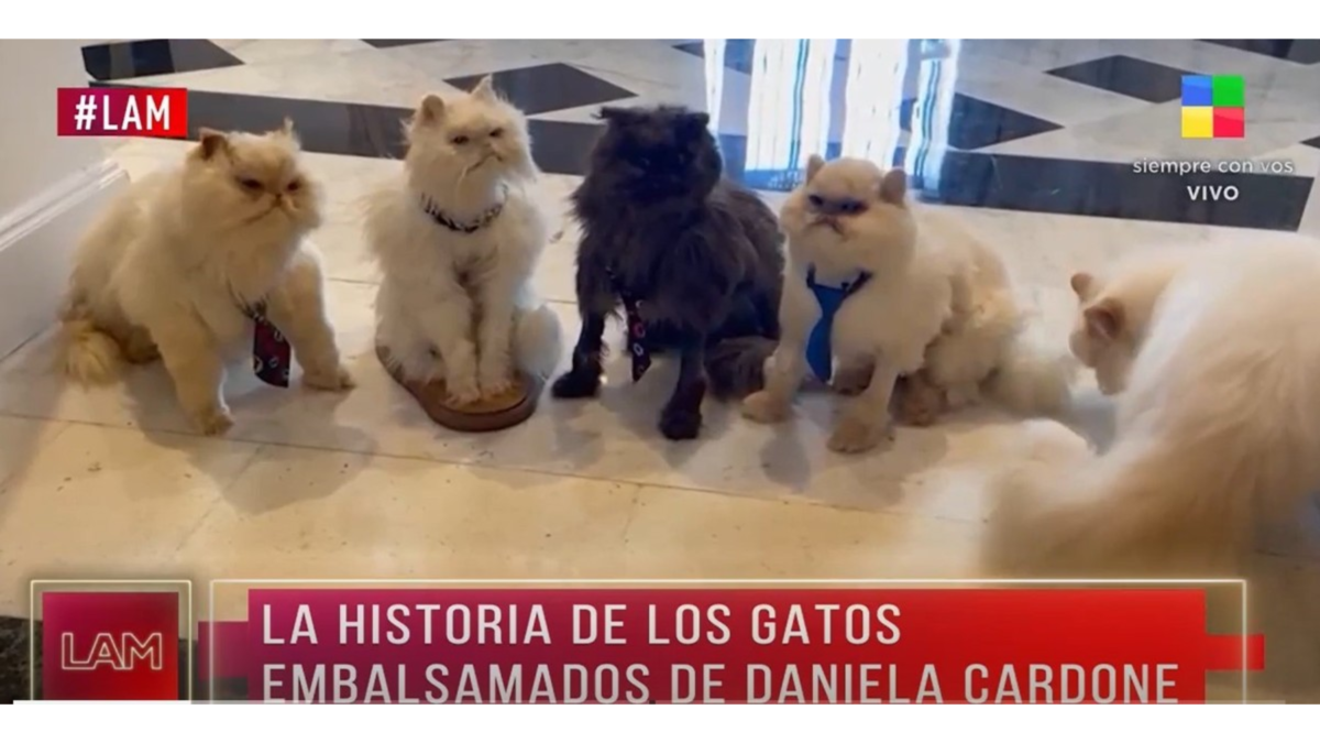 La ex modelo no suele invitar a gente a su casa.