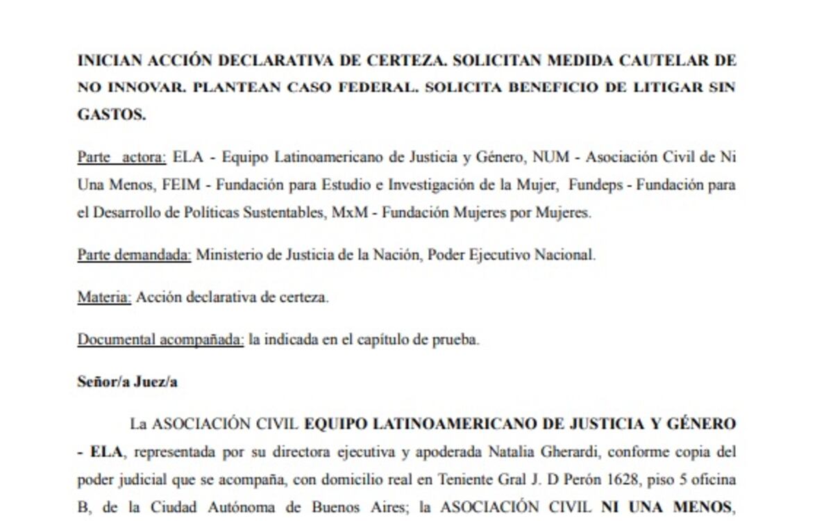 El pedido de la medida cautelar fue firmado por cinco organizaciones.