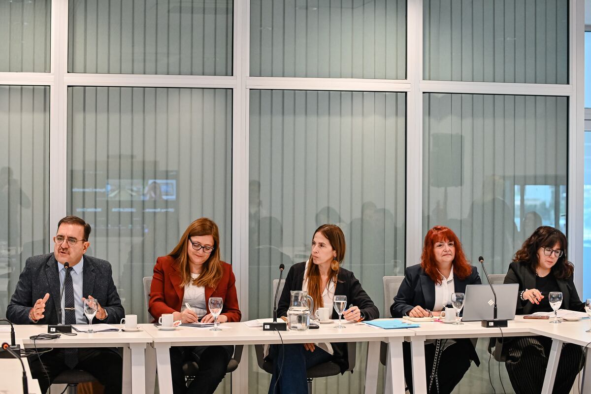 El concejal Ricardo Moreno, contó una experiencia personal en el Instituto. (Concejo Deliberante de Córdoba / Gentileza)