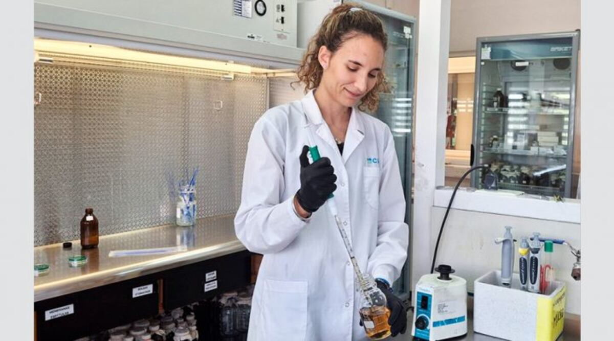La primera autora del trabajo, Florencia Menis Candela, se desempeñó como becaria doctoral del CONICET. Créditos: gentileza investigadores.