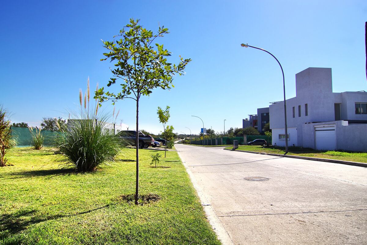 Adquirir un lote en Manantiales es una oportunidad de ahorro, ya que la compra de un terreno genera ganancias que superan a otras alternativas financieras. Foto: Manantiales / Grupo Edisur.