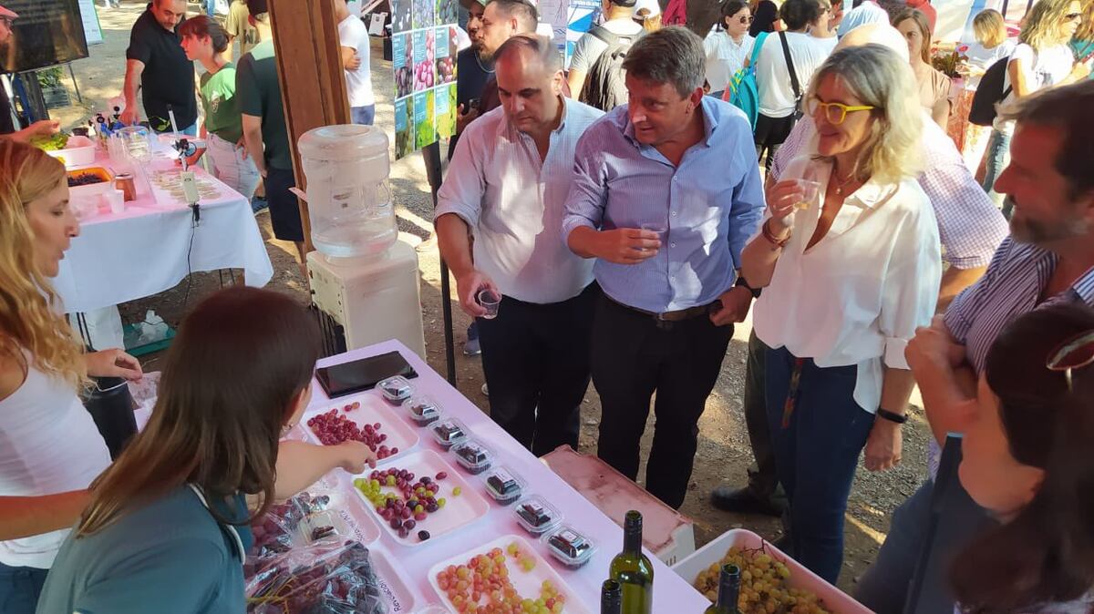 El presidente del Inta, Juan Cruz Molina, y la vicepresidenta, María Beatriz Giraudo, recorriendo los puestos de tecnología y de productores locales que sirvieron de ante sala al almuerzo en la estación experimental del Inta, en Luján de Cuyo.