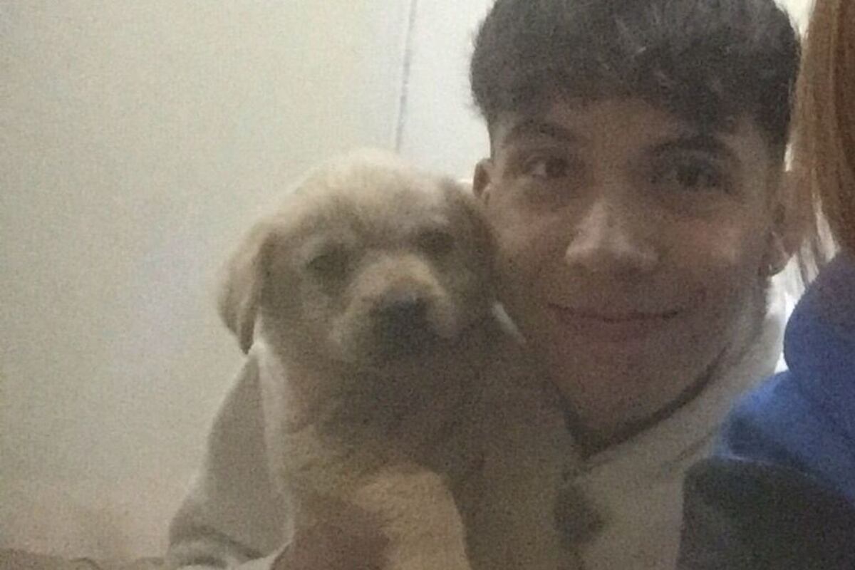 Santiago Fernández fue brutalmente golpeado a la salida de un pub. (La Voz).