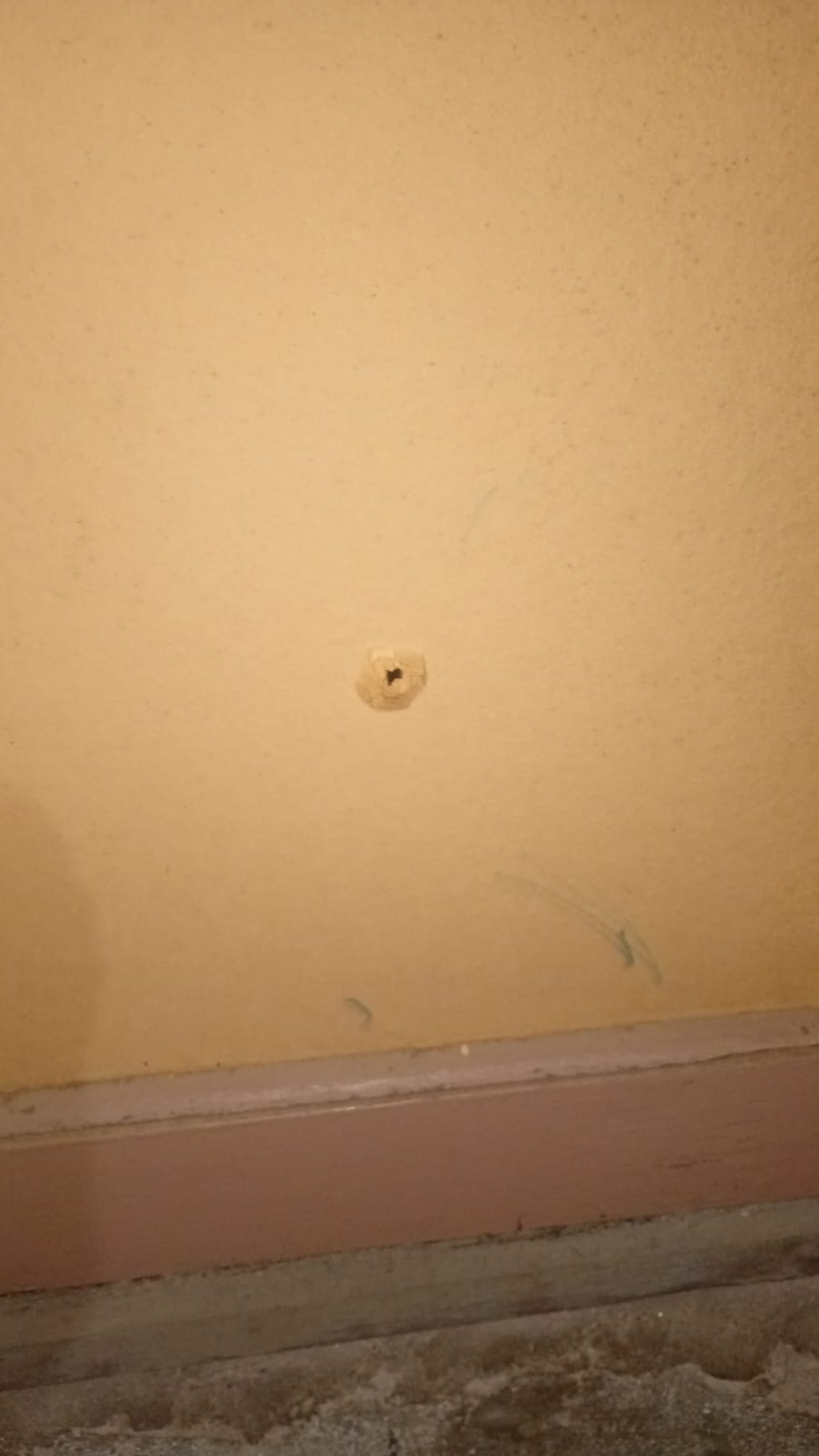El violento episodio ocurrió en barrio Ameghino Norte de la ciudad de Córdoba. (Gentileza)